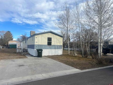Photo of 62880 LaSalle Road #78 (Spruce Drive), Montrose, CO 81401 (MLS # 831851)
