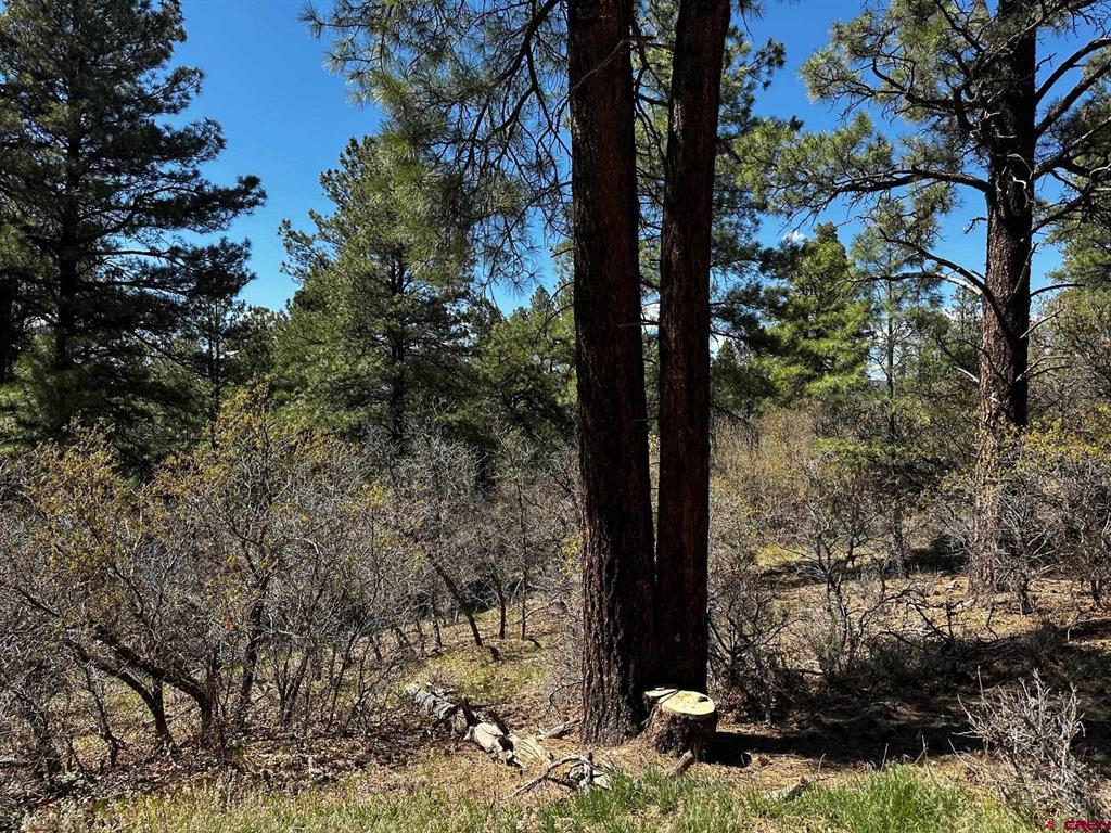 Photo 1 of 21 — 523 Oakridge Drive, Pagosa Springs, CO 81147