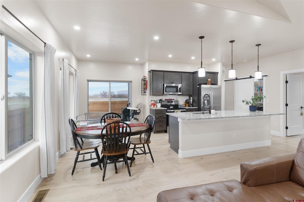 1507 Magpie Gulch Street