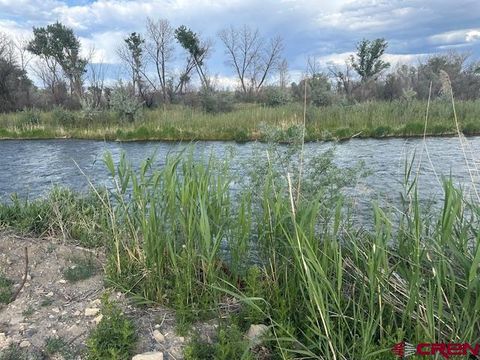 Photo of 14470 Arabian Lot 2 Court, Montrose, CO 81403 (MLS # 831867)