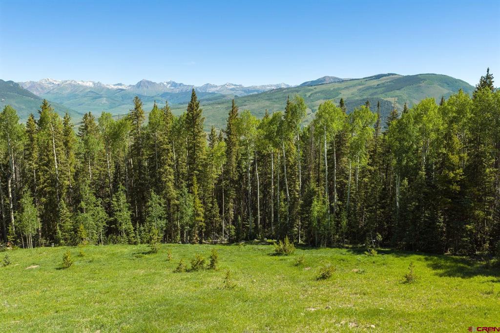 141 White Buffalo Trail