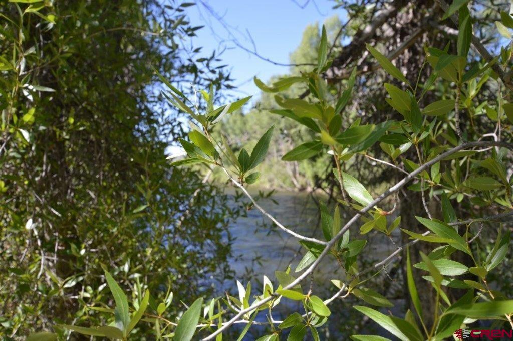 Gunnison, Colorado 81230, United States, ,Land,Active,61379