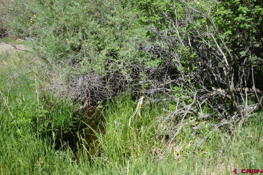 Gunnison, Colorado 81230, United States, ,Land,Active,61379