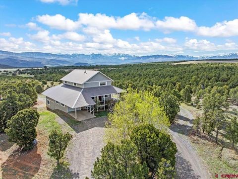 250 Sue Bob Court Montrose CO 81403