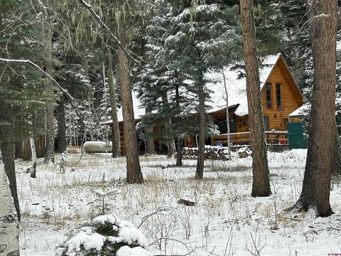 1609 County Road 500 Bayfield CO 81122