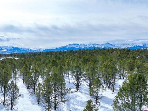 Photo of 28 Fisher Canyon Drive, Ridgway, CO 81432 (MLS # 833417)
