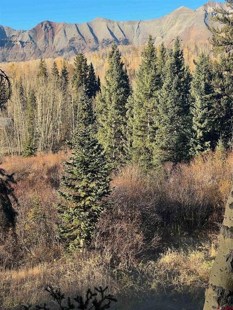 530 Elk Run Telluride CO 81435
