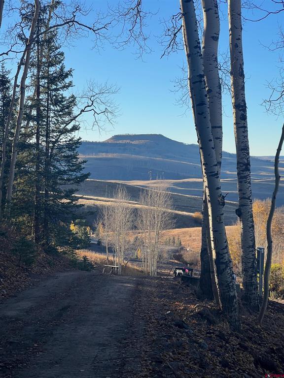 530 Elk Run