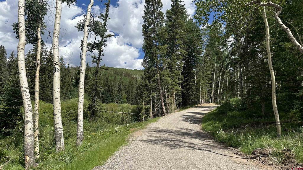 530 Elk Run