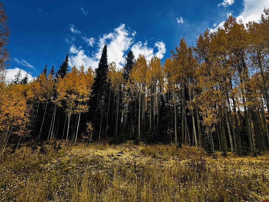 1250 Red Mountain Ranch Upper Loop