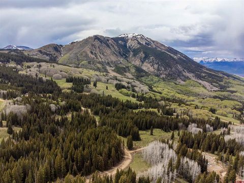 1250 Red Mountain Ranch Upper Loop Crested Butte CO 81224