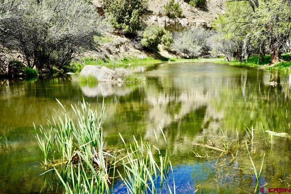 955 County Road 303 Road Cross Canyon Ranch
