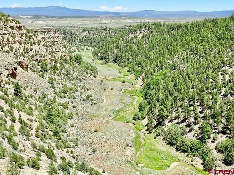 955 County Road 303 Road Cross Canyon Ranch Cebolla NM 87518