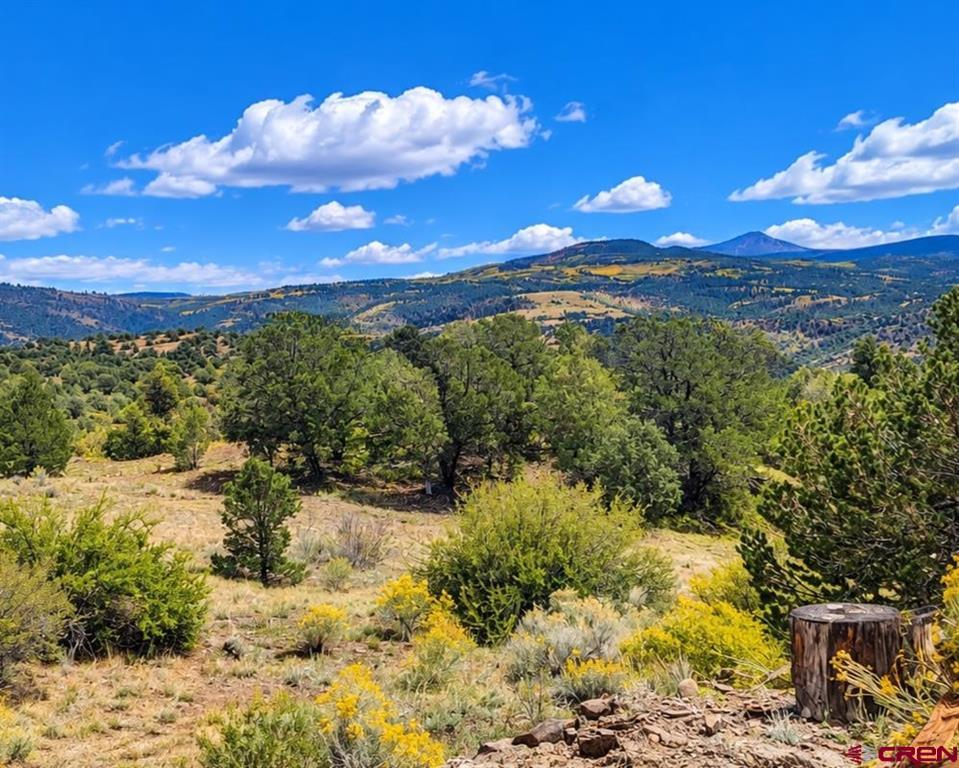 398 Wild Horse Trail