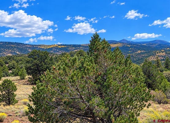 398 WILD HORSE TRAIL TRL, SOUTH FORK, CO 81154 - Image 6602425bec70913b424e63ff0f09a6d4/3320078335