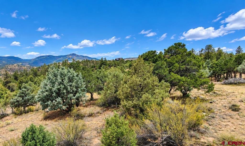 398 Wild Horse Trail