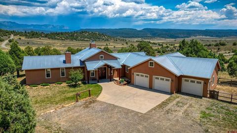 567 Tall Pine Place Pagosa Springs CO 81147