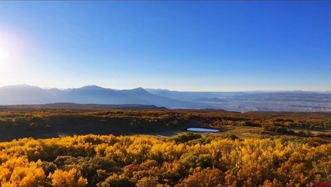 33339 Oak Mesa Road Hotchkiss CO 81419