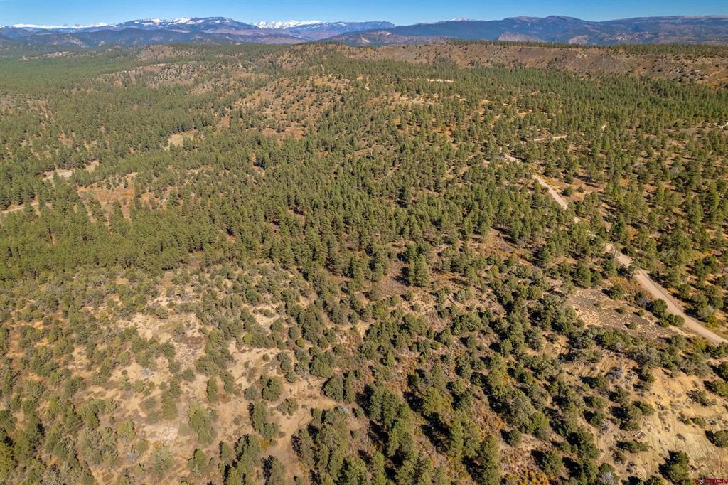 Lot 3 Foxfire Ranch