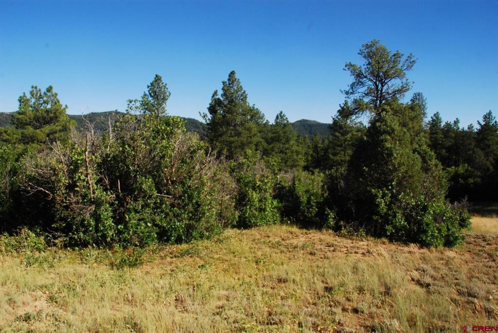 X US Hwy 84 #114