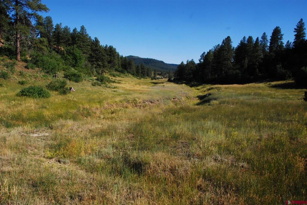 X US Hwy 84 #114