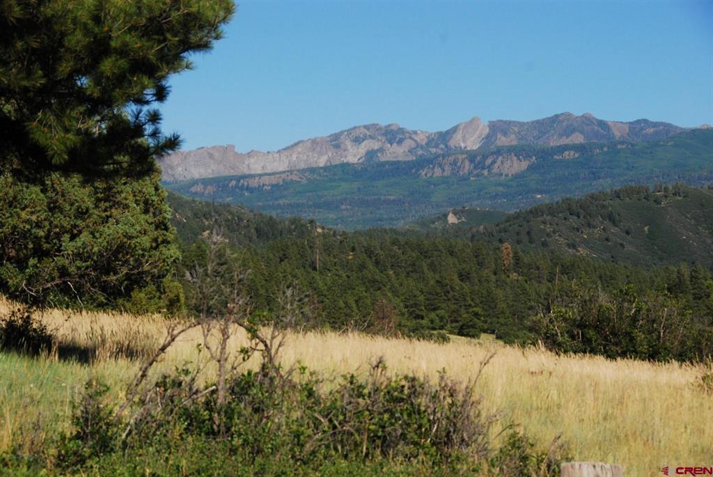 X US Hwy 84 #114