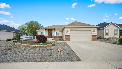 Photo of 2919 Lost Creek Road, Montrose, CO 81401 (MLS # 833088)