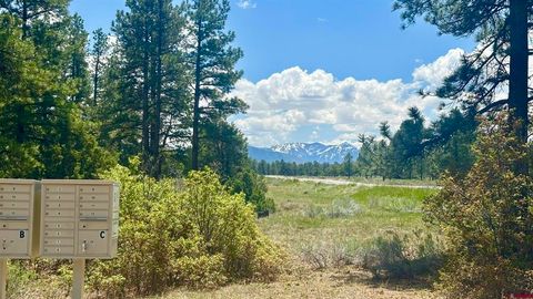Photo of 60 Fisher Canyon Court, Ridgway, CO 81432 (MLS # 834270)