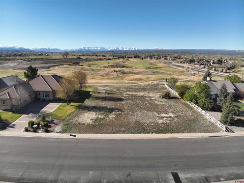Photo of 1131 Stone Bridge Drive, Montrose, CO 81401 (MLS # 833377)