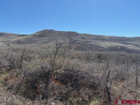 Photo of 20636 3100 Road, Hotchkiss, CO 81419 (MLS # 833091)