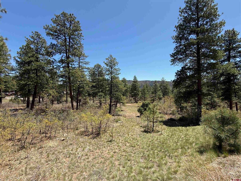 TBD Ventana Pass