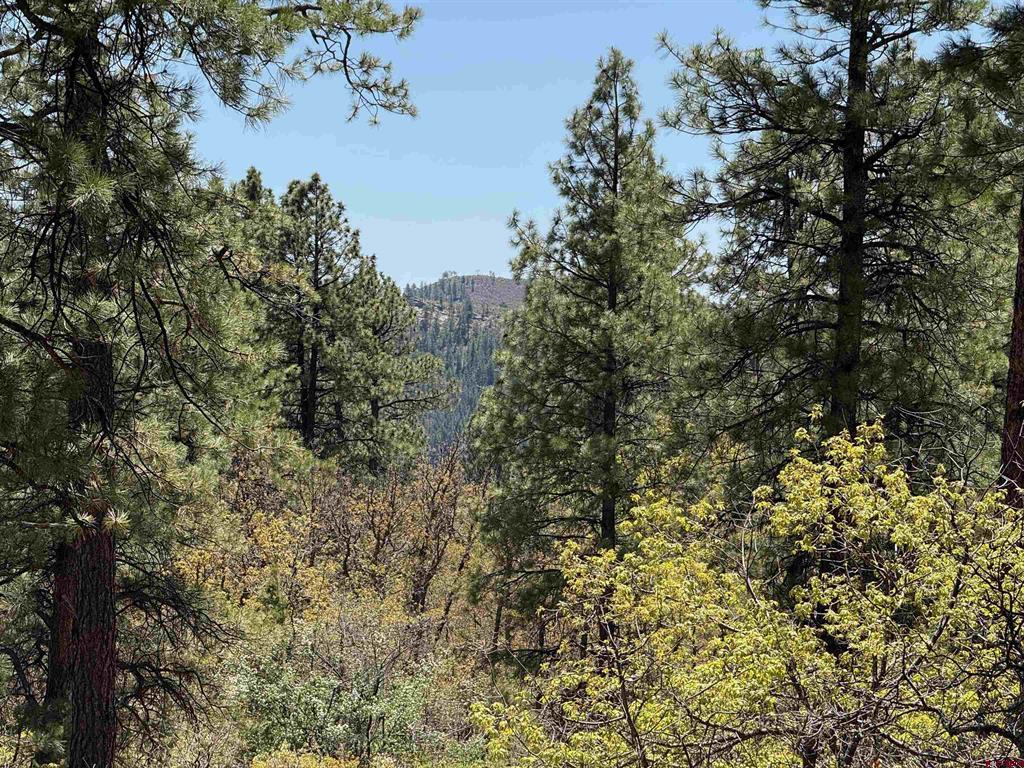 TBD Ventana Pass