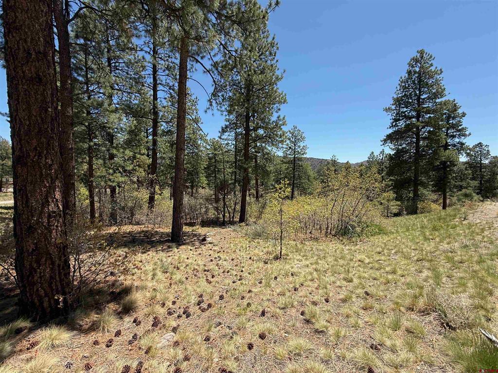 Photo 1 of 6 — TBD Ventana Pass, Durango, CO 81301