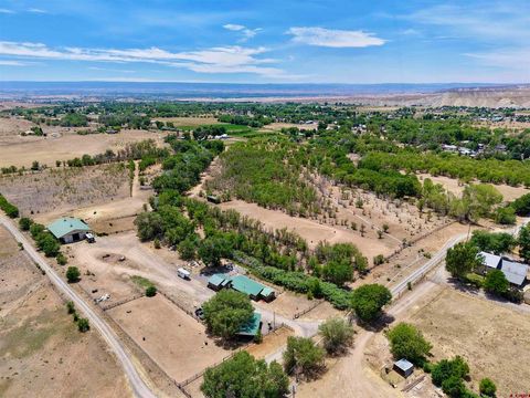 Photo of 21902 Newland Road, Eckert, CO 81418 (MLS # 836703)