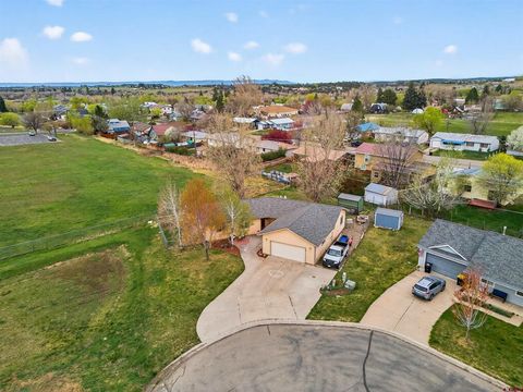 312 Meadows Circle Bayfield CO 81122