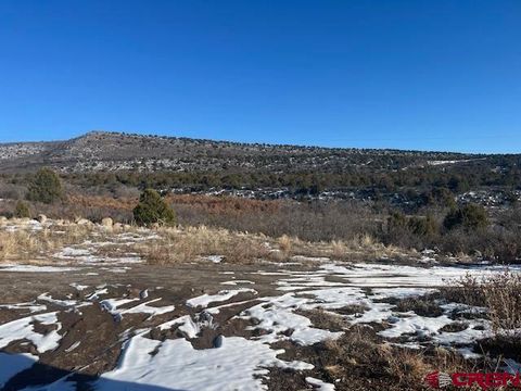 2115 2500 Drive Cedaredge CO 81413