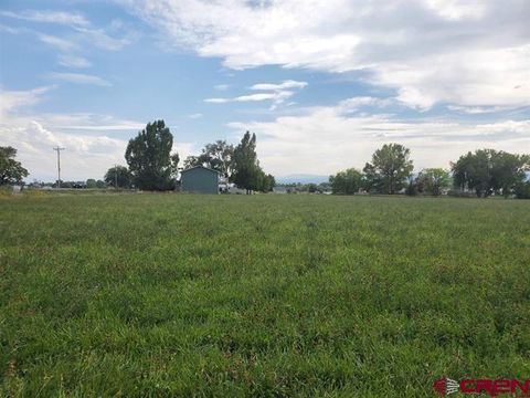 Photo of 2 6600 Road, Montrose, CO 81401 (MLS # 831587)