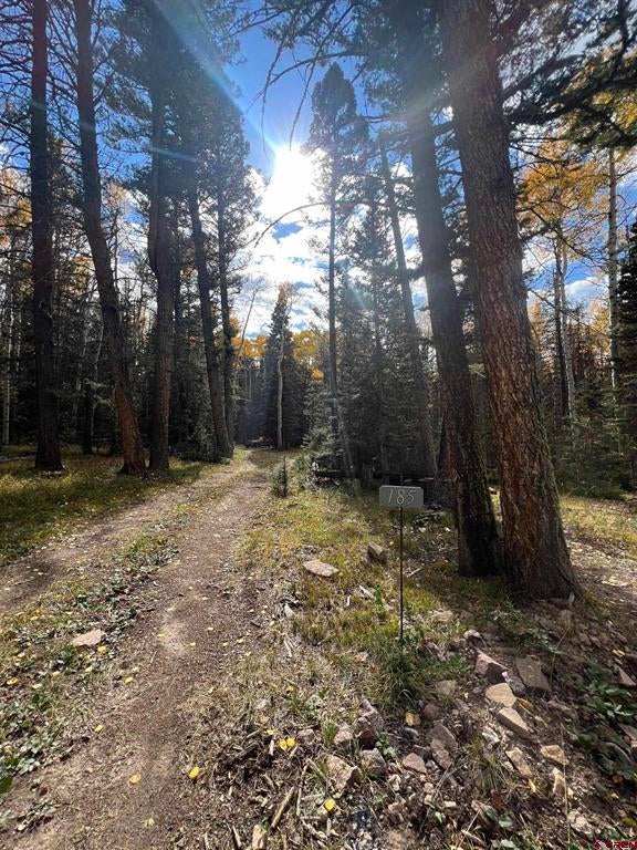 185 Aspen Trail