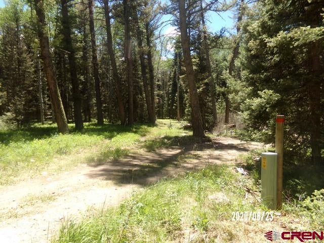 185 Aspen Trail