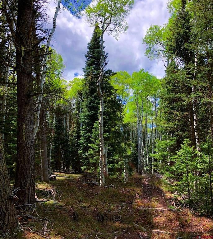 185 Aspen Trail