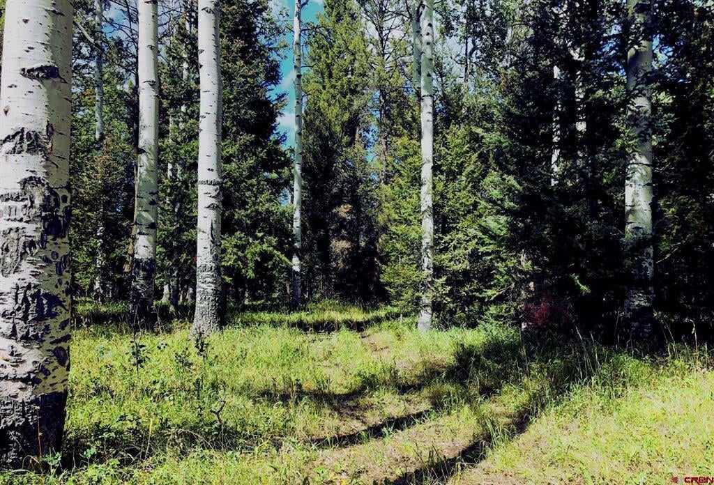 185 Aspen Trail