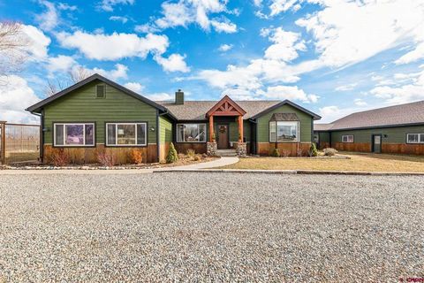 231 Mesa Heights Drive Durango CO 81303