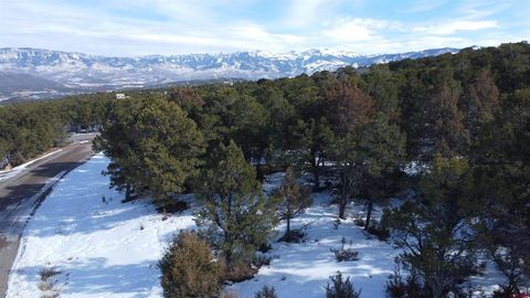Photo of 30 Pinon Road W, Ridgway, CO 81432 (MLS # 831535)