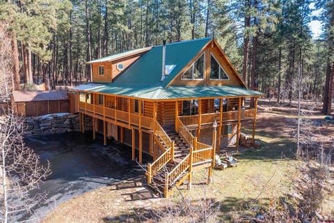 84 Little Bear Drive Bayfield CO 81122