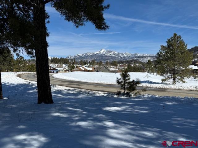 19 Monte Vista