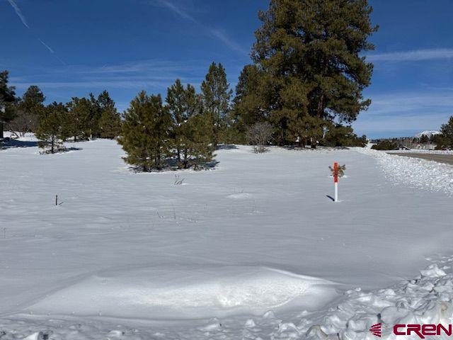 19 Monte Vista