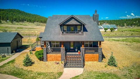 60 Clover Lane Pagosa Springs CO 81147