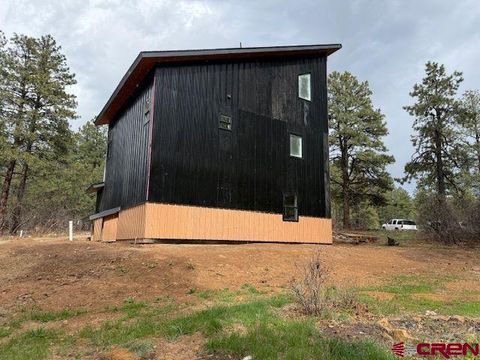 21 Jan's Court Pagosa Springs CO 81147