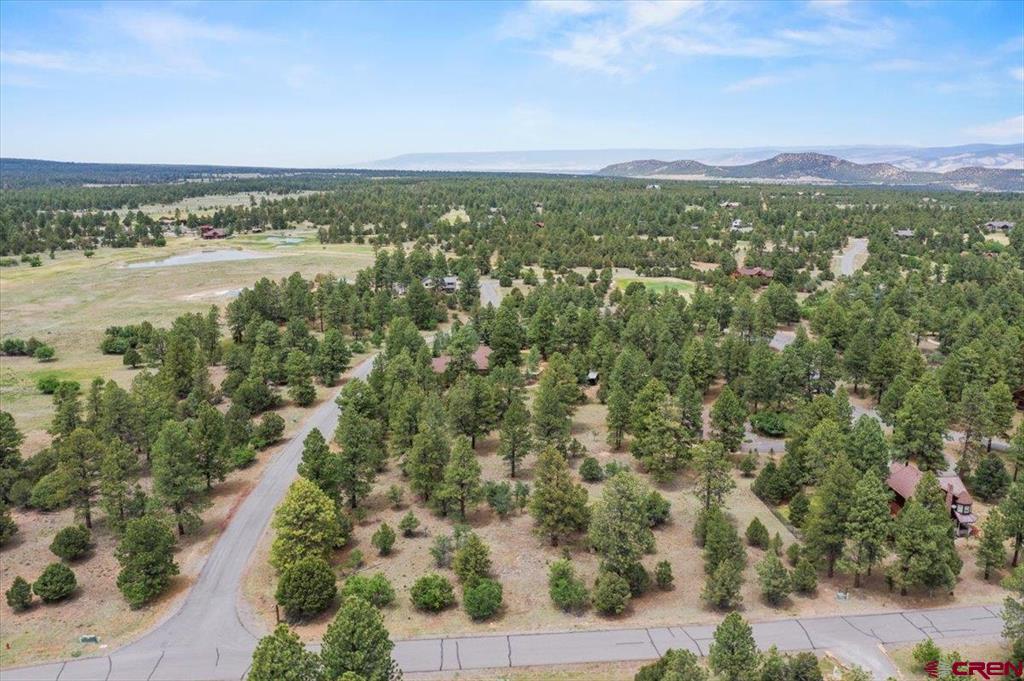 TBD Lot 308 Bear Cub Drive