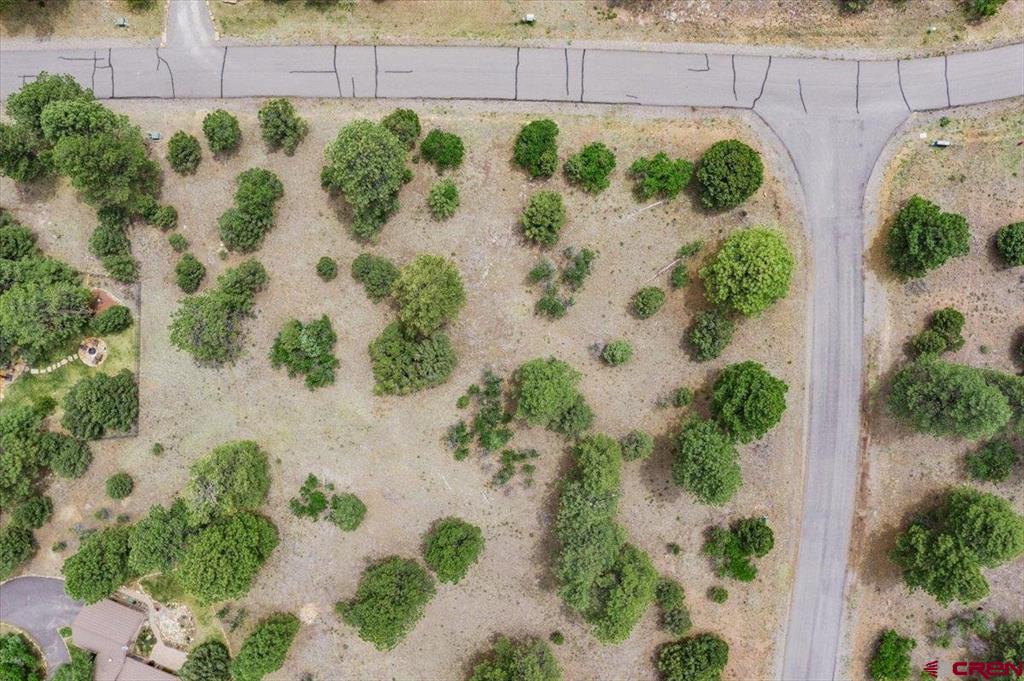 TBD Lot 308 Bear Cub Drive